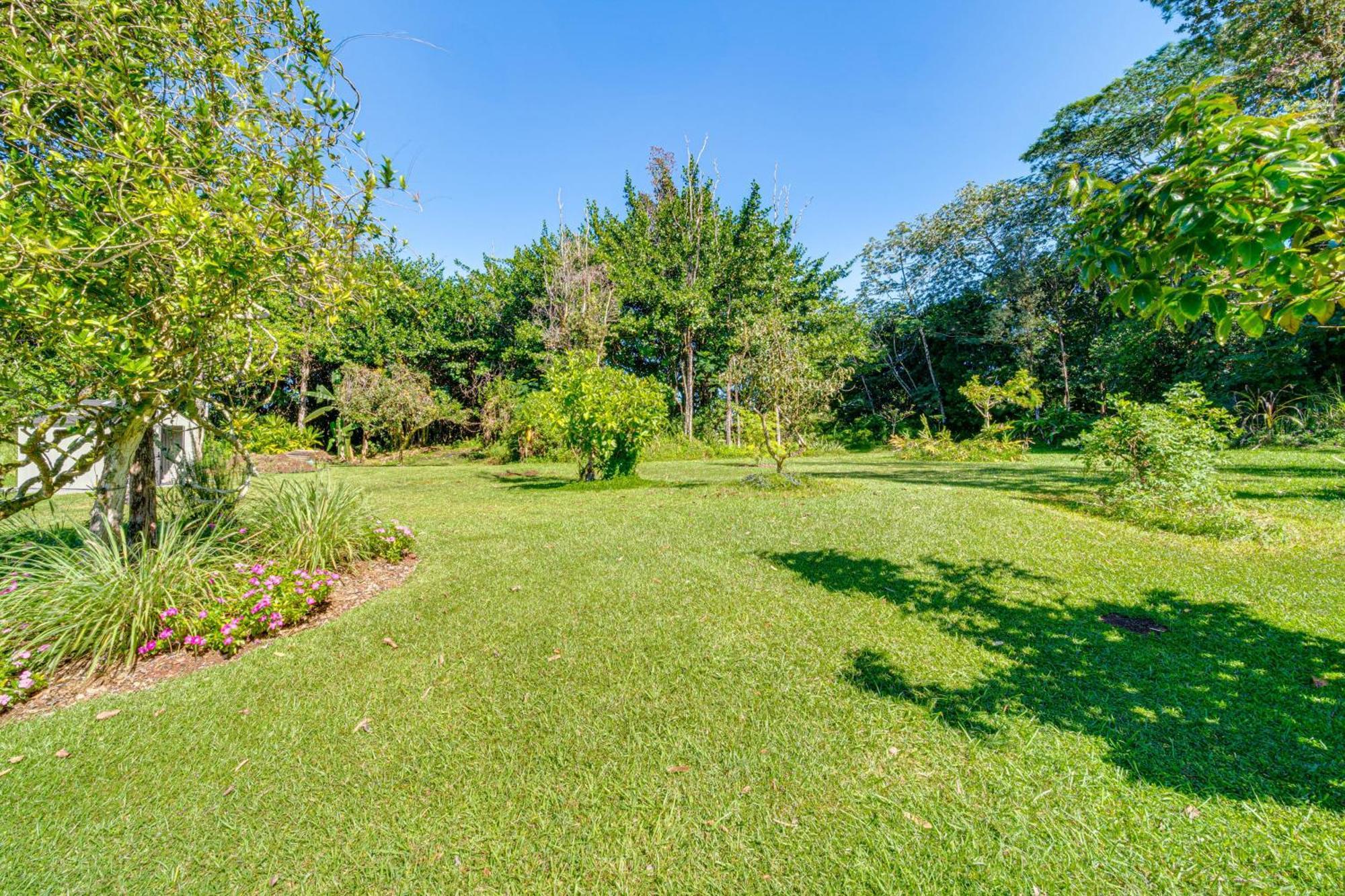Keaau Apartment On Beautiful Acre With Pool And Deck! Exterior foto